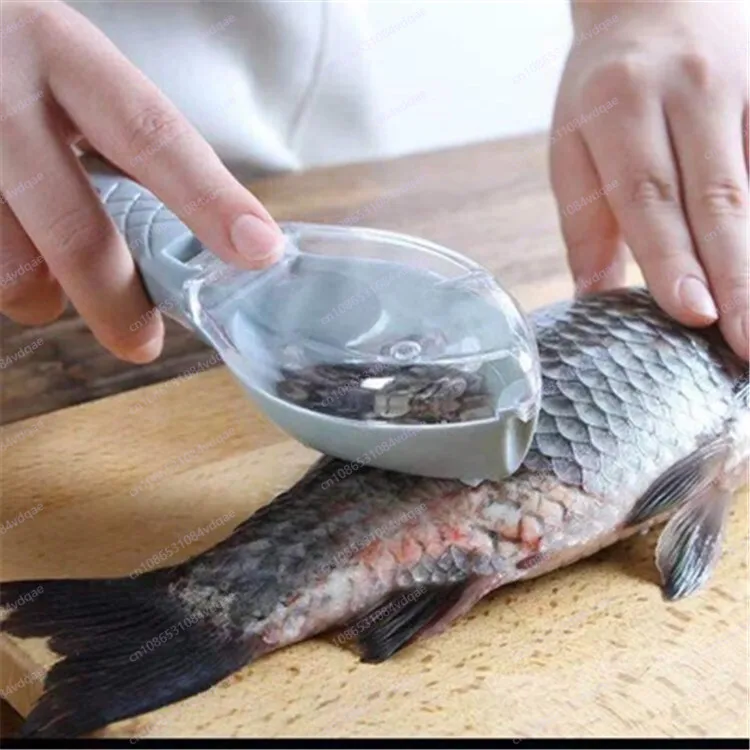 Popular Fish Scale Scraping Ar - مراجعة Kitchen Gadgets Popular وسعره