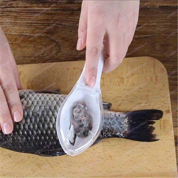 Popular Fish Scale Scraping Ar - مراجعة Kitchen Gadgets Popular وسعره